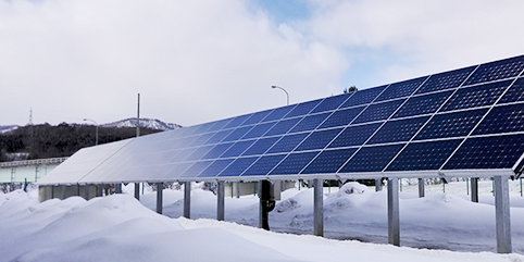 ����ѩ������