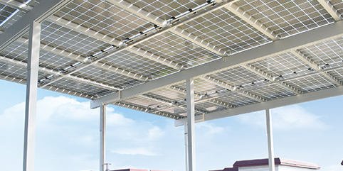 ˫��˫����Ȼ���